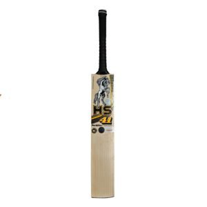 HS 41 Pro Edition Bat