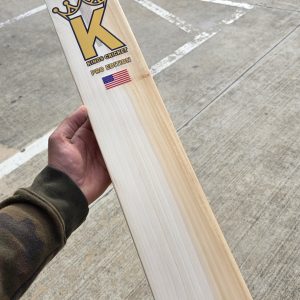 Kings Cricket Pro Edition